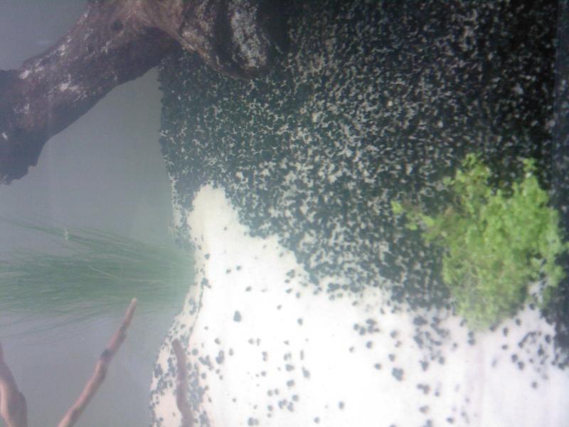 Foto0038