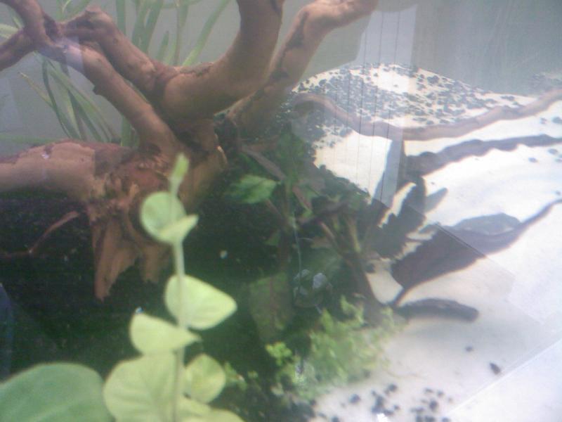 Foto0035