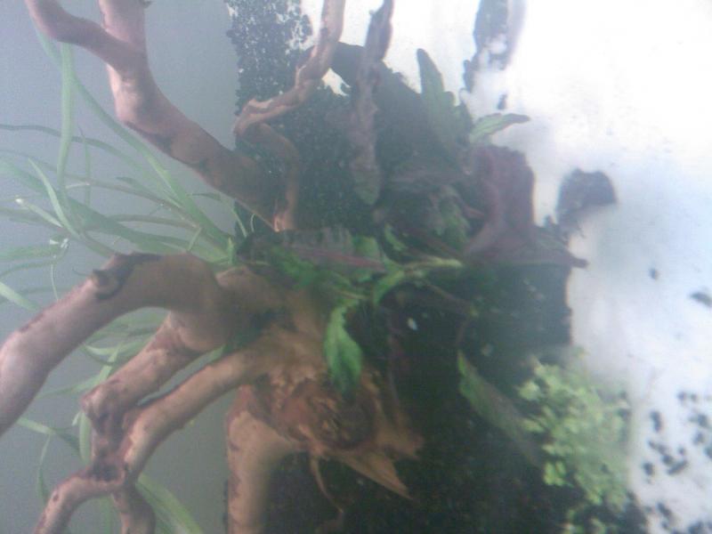 Foto0036