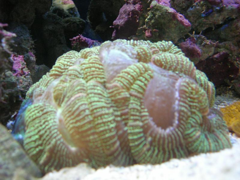DSCN2888