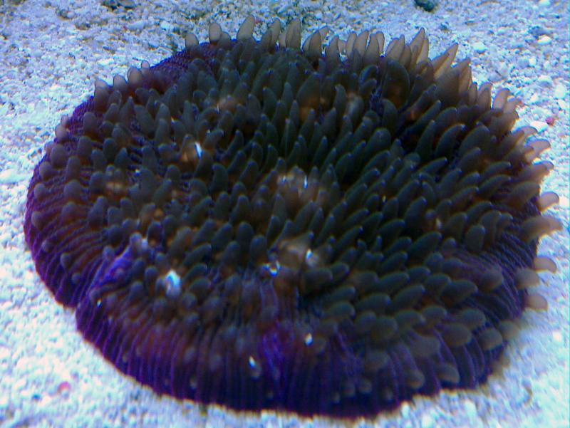 20100625 006