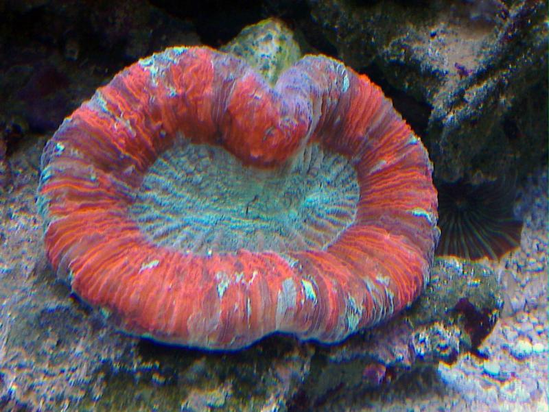 20100625 003