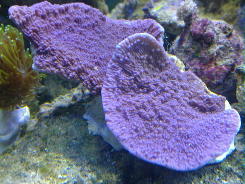 20100129 008