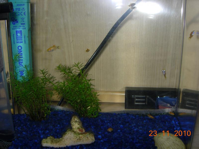 DSCN5055