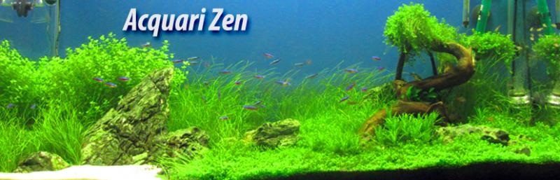 acquarizen panoramica 100620