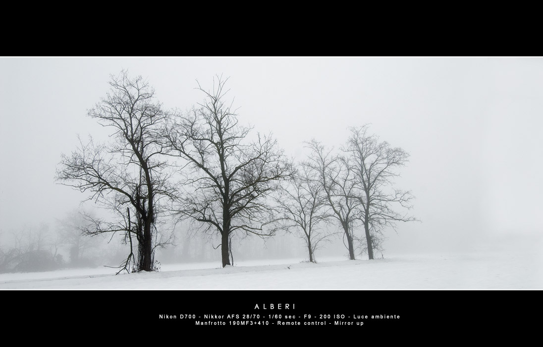 Alberi