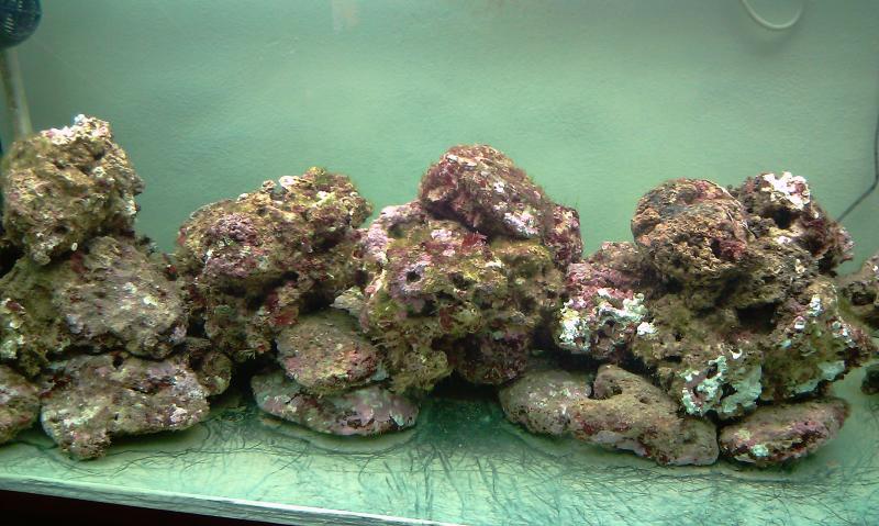 IMAG0273