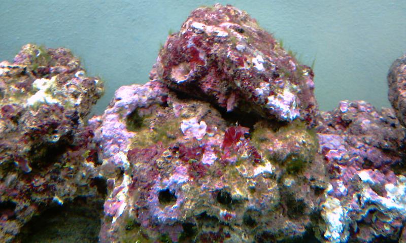 IMAG0274