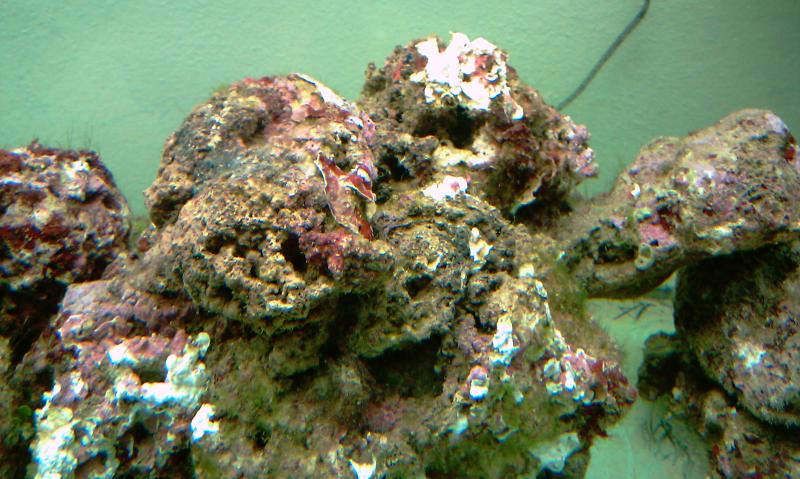 IMAG0275