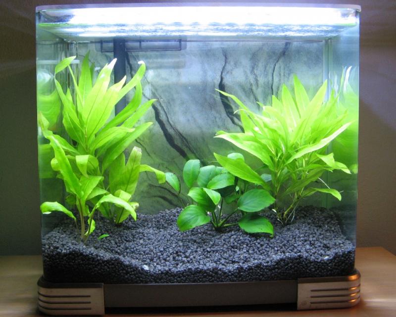 acquarietto01