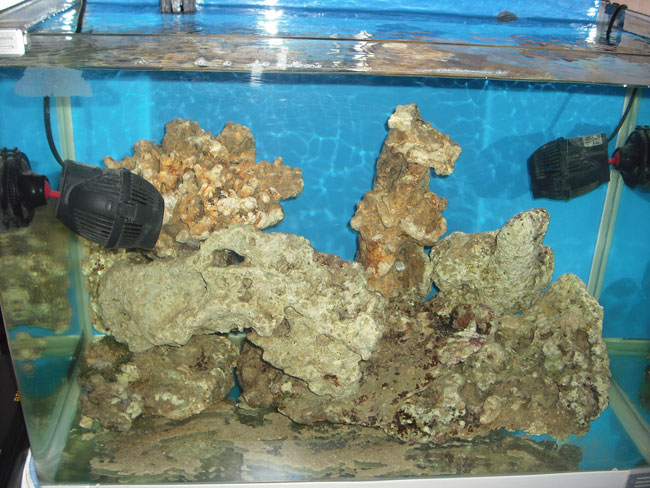 rocciataVers1