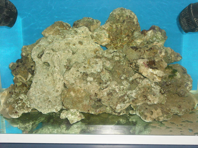 rocciataFinale2