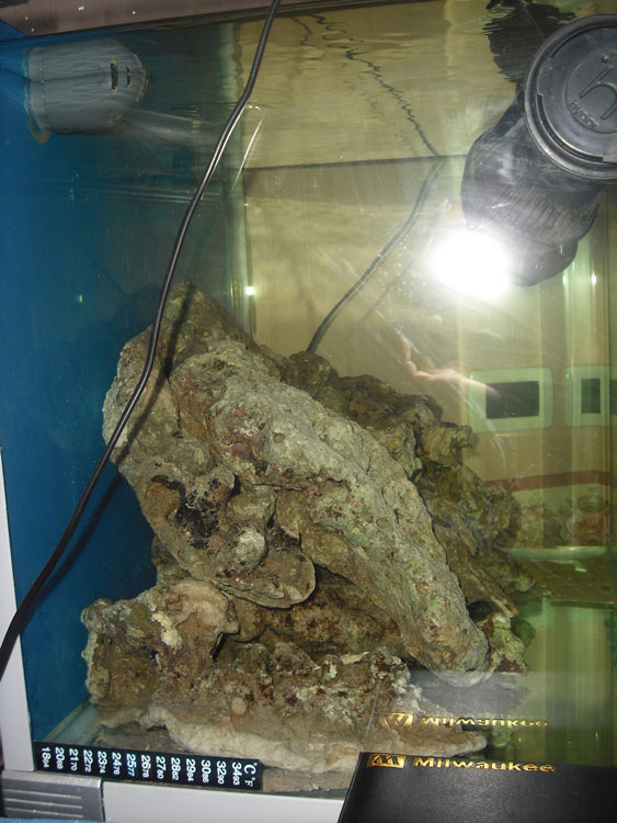 rocciataFinale3