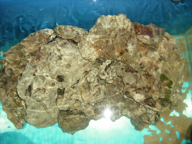 rocciataFinale4