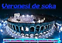 veronesi de soka