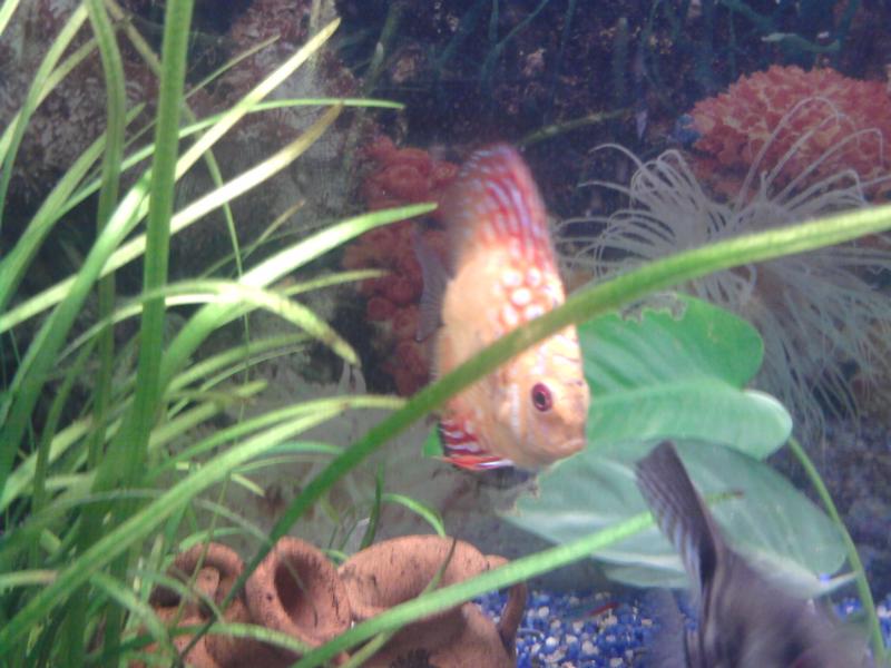 Photo 0064