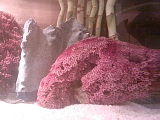 Foto0641A