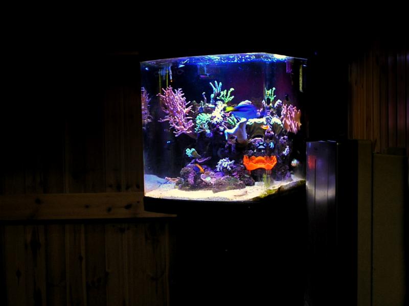 biotop130cube