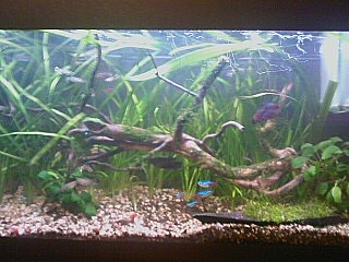 Foto0630A