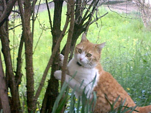 Foto0400