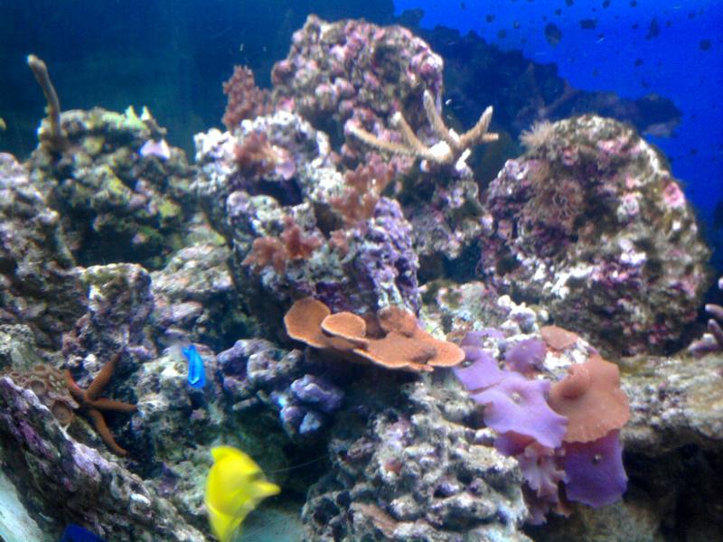 Foto0056
