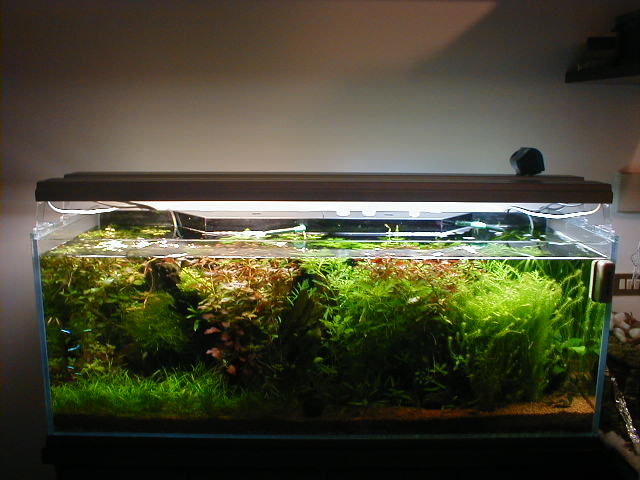 P1040022
