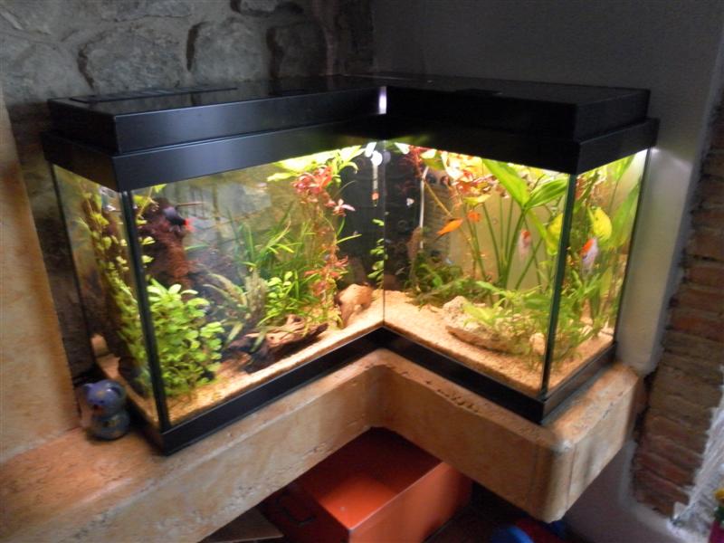 acquario fotto ad  L di circa 200 lt. costruzione artigianale nel mio lab.