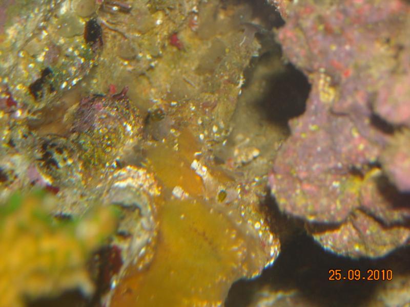 DSCN1441
