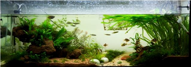 Untitled Panoramarrr