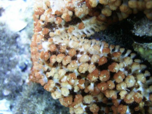 PIC 0037 (2)