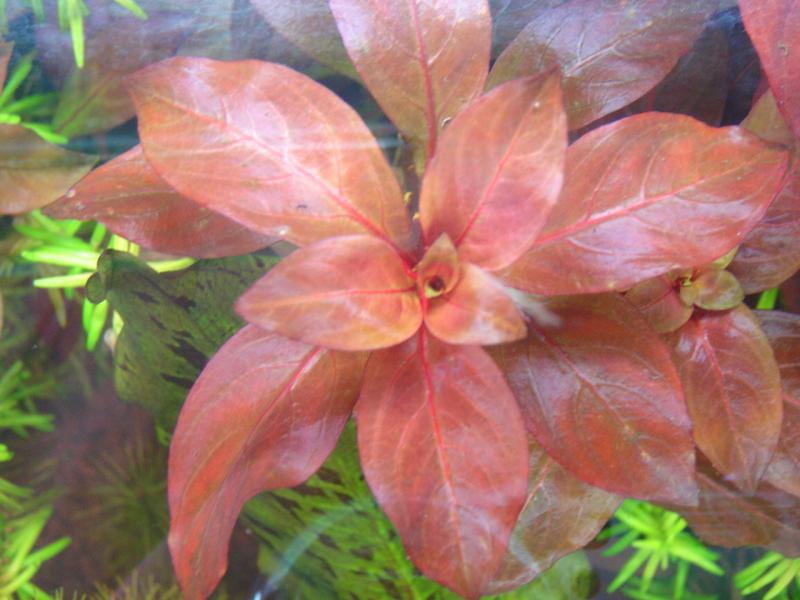 20050514 002