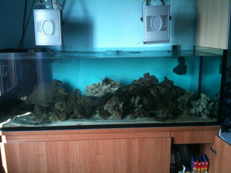 Picture 001