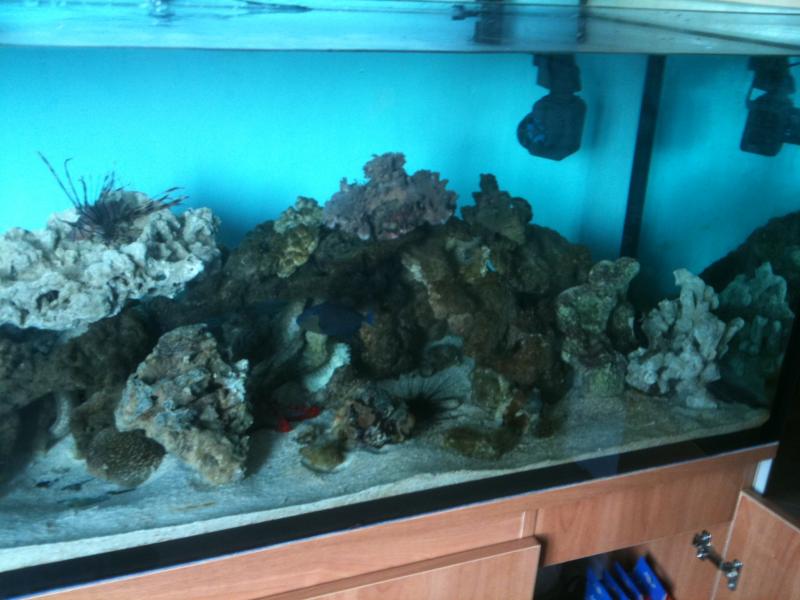 Picture 002