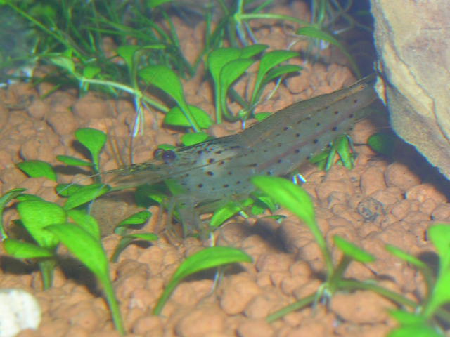 DSCN3364