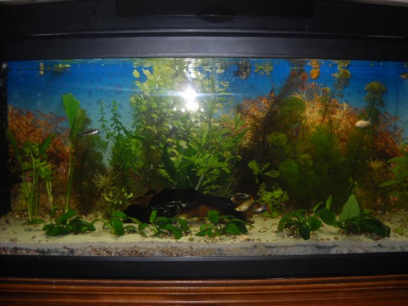 Il mio angolo rilassante di 120lt