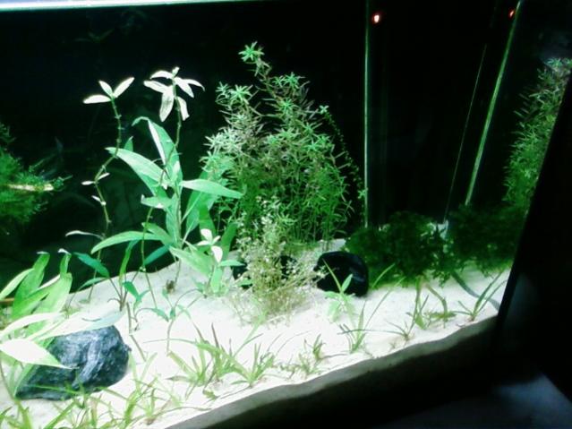 Foto0486