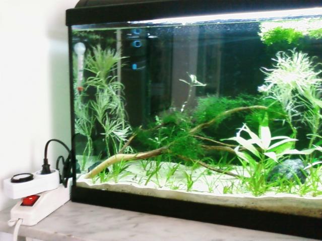 Foto0514
