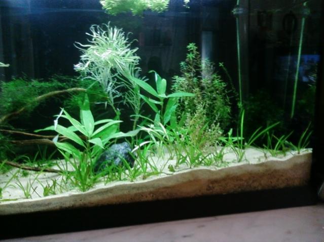 Foto0515