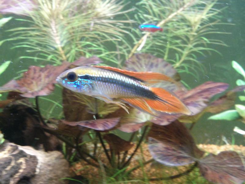 IMG 20120426 192006