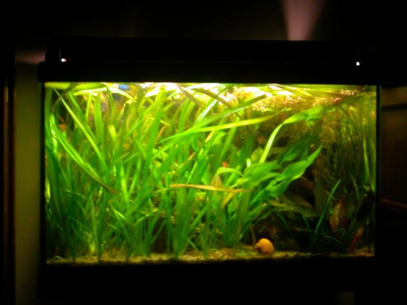 Ambiente60 90Lt