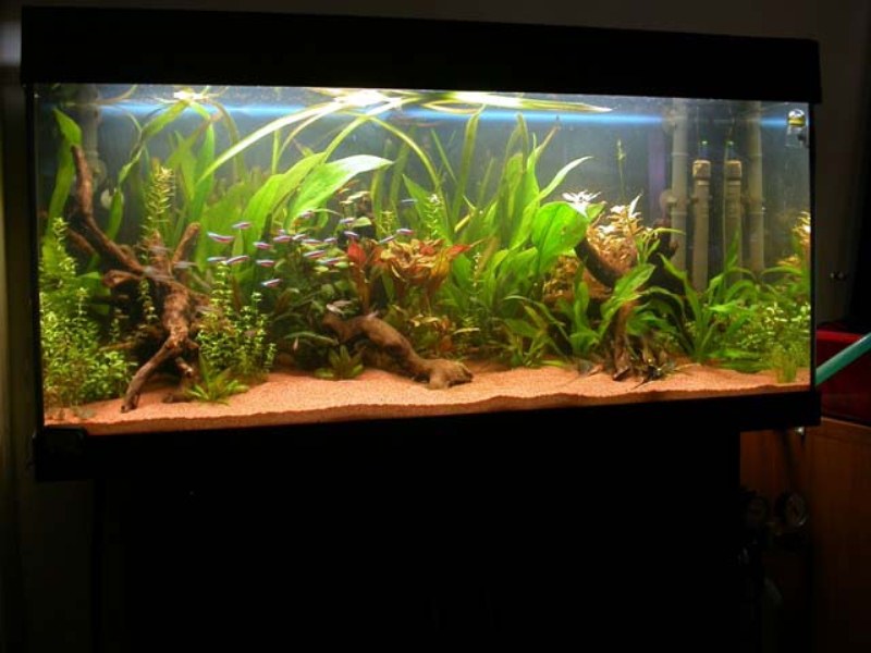 Rio180 Allestimento01