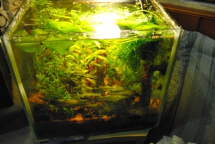 sul cubo da 8l