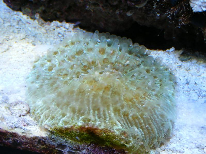 DSCF0017