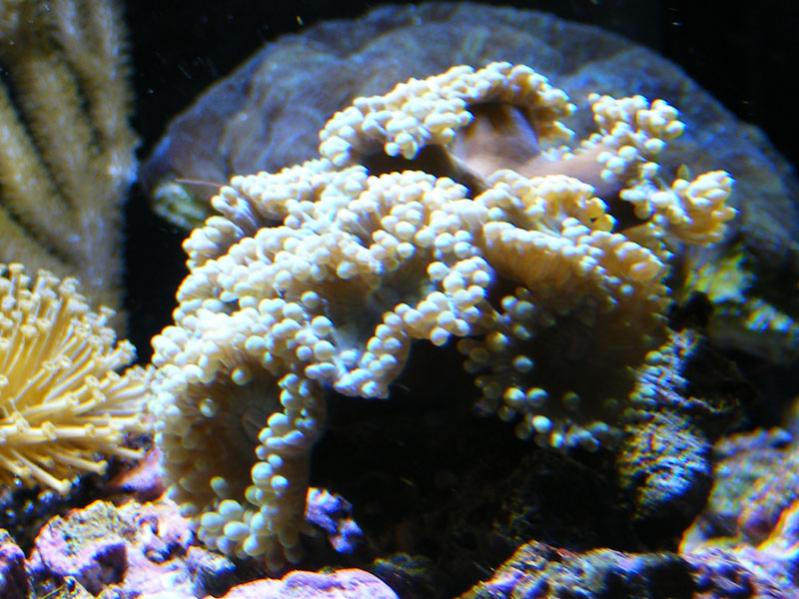 DSCF0034