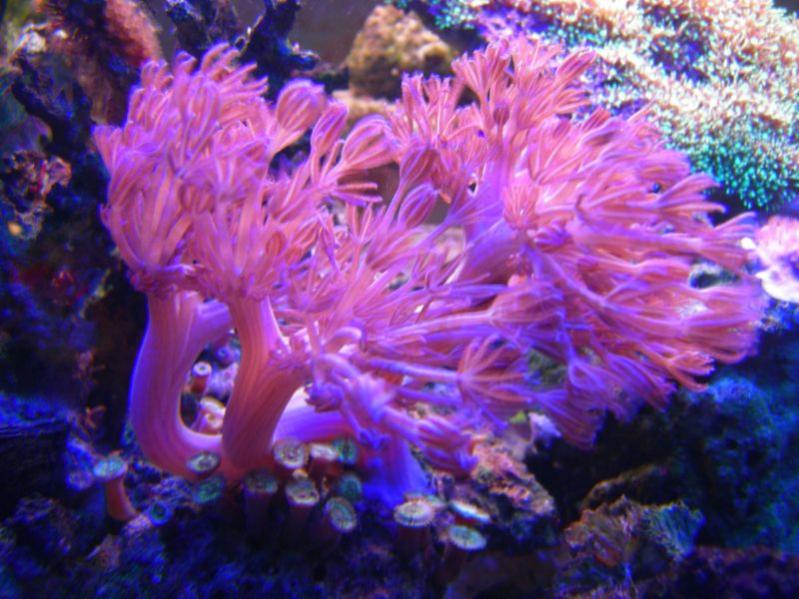 DSCN4373
