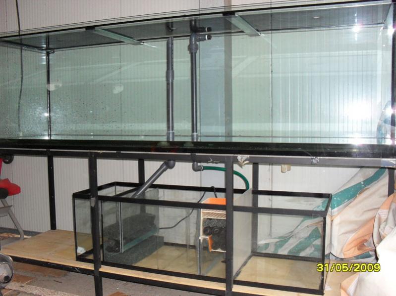 Vasca 600L+sump+percolatore+refugium
