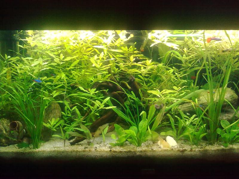 Vista d'insieme al 5 mese