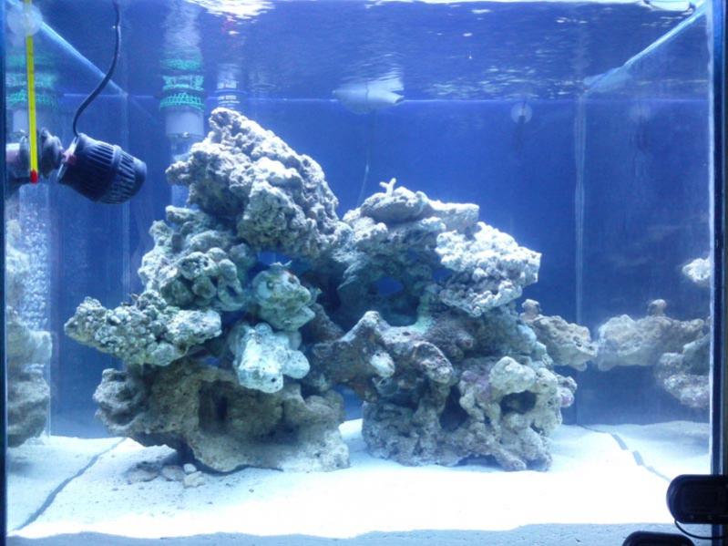 Foto01691