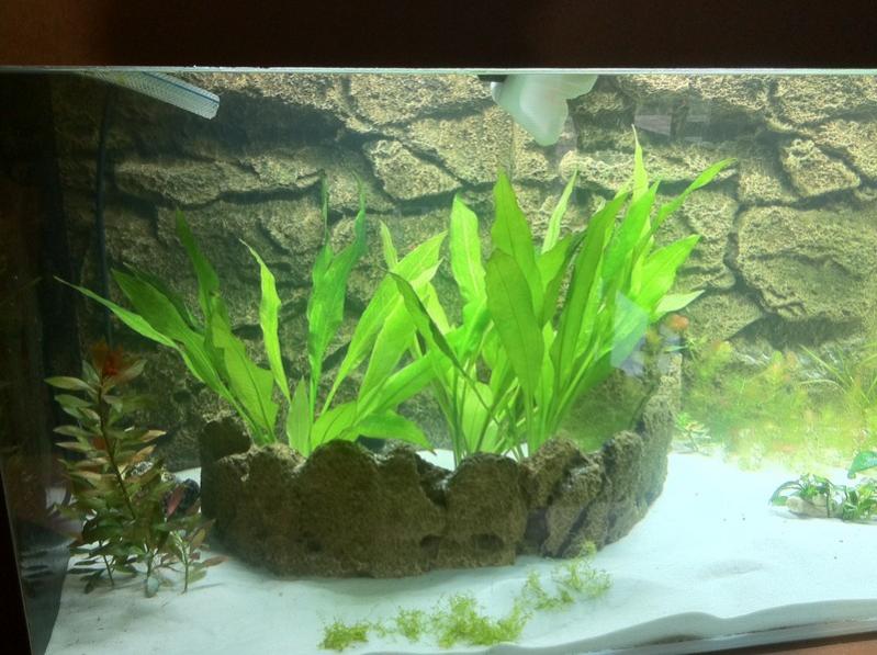 005 Acquario 540 2011 02 20 [800x600]