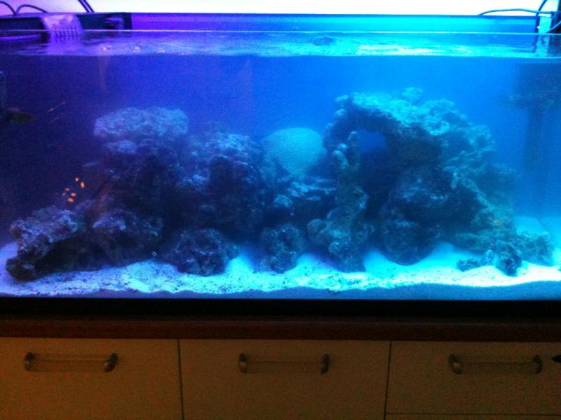 foto3